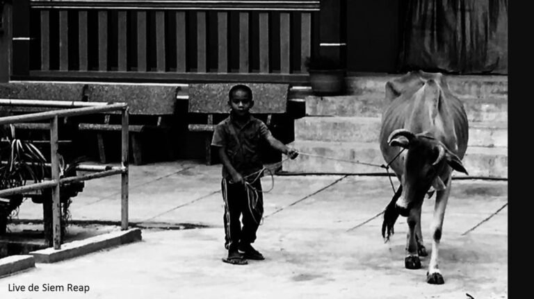 5503695_orig