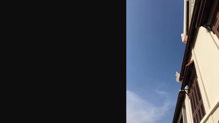 6694952_orig