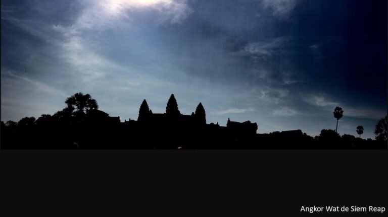 7314164_orig