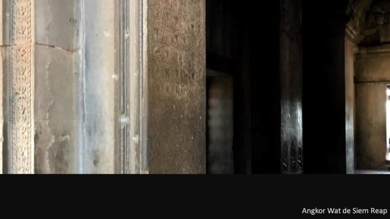 8208246_orig