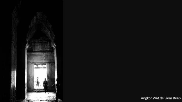 8345376_orig